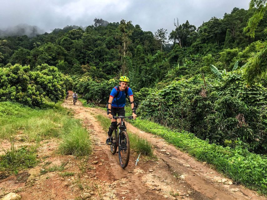 Chiang Mai: Suthep National Park Hiking & DH Mountain Biking - Activity Overview