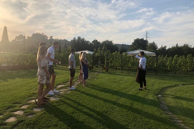 Chianti and San Gimignano – 2 Wineries With Pairing Lunch