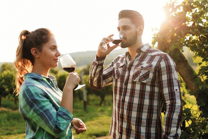 Chianti Half Day Wine Tour From Florence - Tour Overview