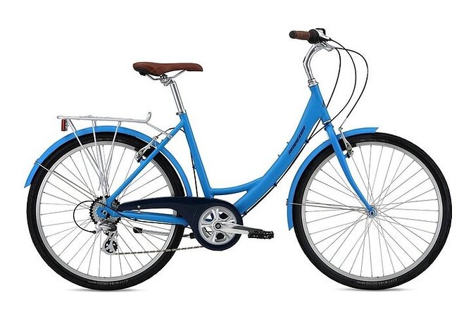 Chicago Half-Day Bike Rental