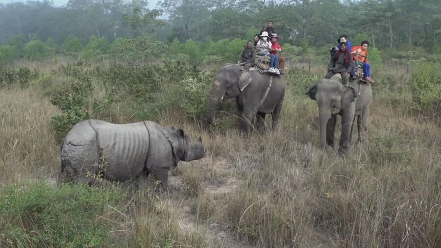 Chitwan National Park Luxury Tour