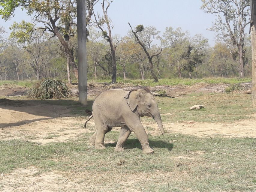 Chitwan National Park Tour