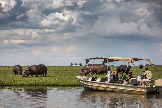 Chobe Day Trip Ex Livingstone / Victoria Falls - Inclusions and Exclusions