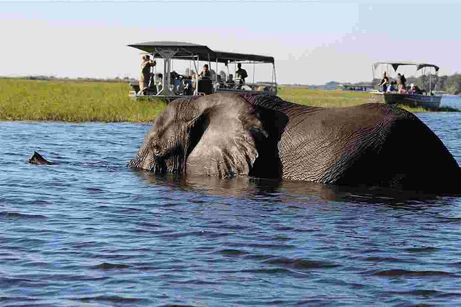 Chobe National Park 4X4 Day Safari and River Cruise