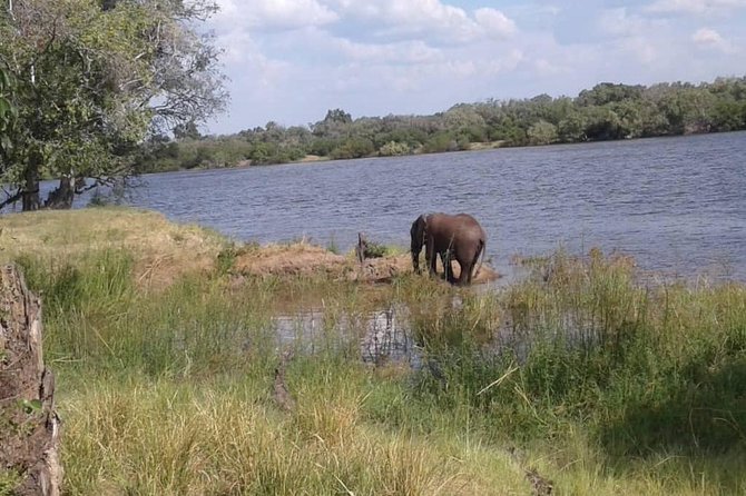 Chobe Safari Day Trip From Livingstone