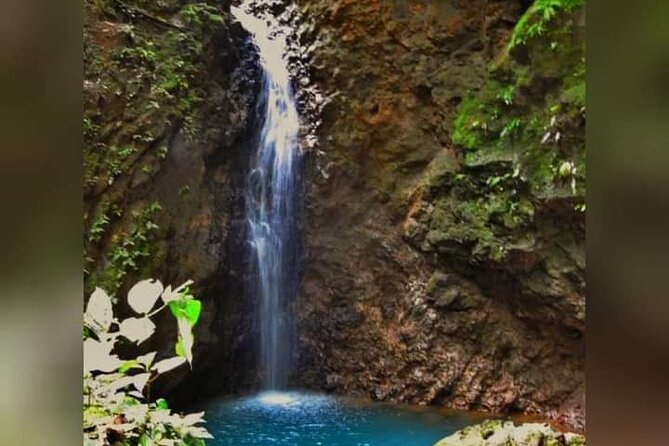 5 Best Tours In Alajuela