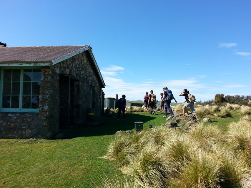 19 Best Guided Tours In Christchurch