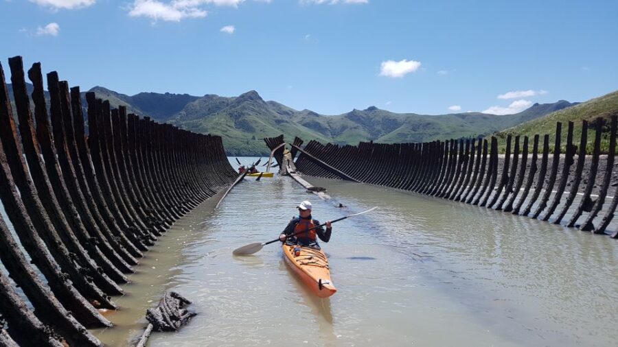 4 Best Canoe And Kayak Experiences In Christchurch