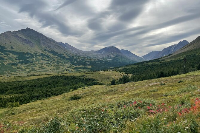 Chugach State Park Nature Walk - Overview of Chugach State Park