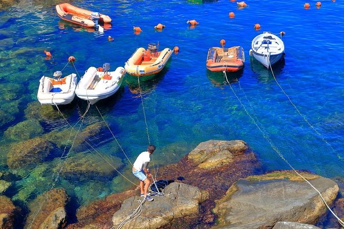 Cinque Terre Walking Tour With Food and Wine Tastings - Overview of the Tour