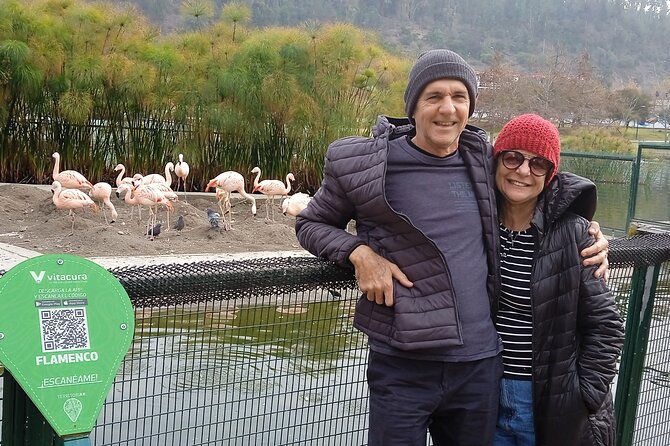 City Tour by Santiago of Chile -A Beautiful Experience - Half Day - Included Features
