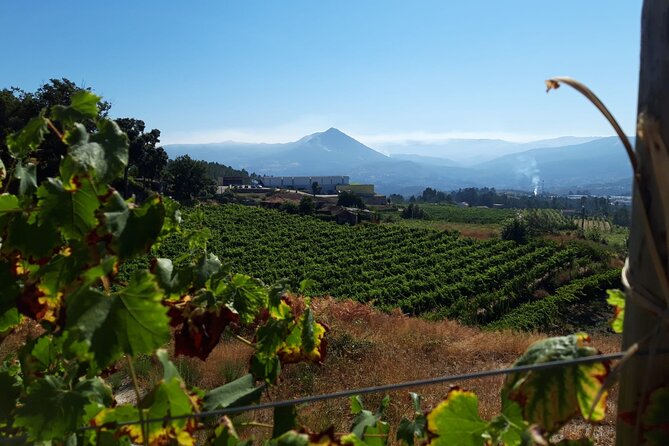 Classic Tasting | Quinta De Santa Cristina Vinho Verde - Inclusions and Amenities