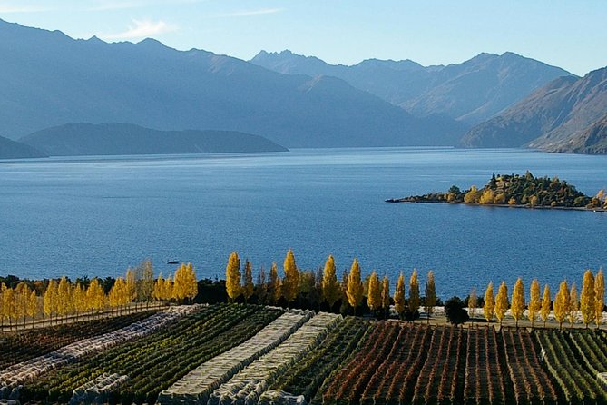 Classic Wanaka Wine Tour - Tour Overview