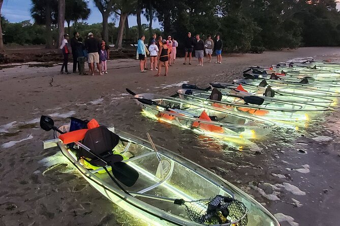 Clear Kayak LED Night Glass Bottom Tour - Anna Maria Island