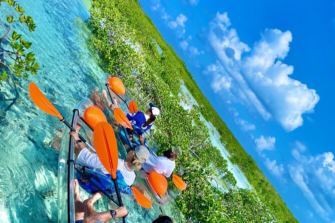 Clear Kayak Mangrove Tour