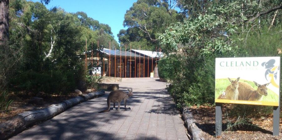 Cleland Wildlife Park Experience With Mount Lofty Summit