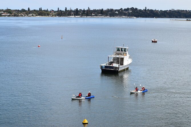 Cliffs and Caves Kayak Tour in Swan River - Tour Overview