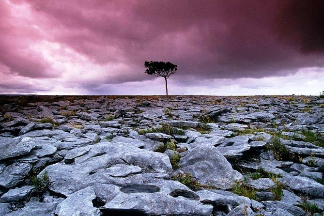 Cliffs of Moher, Burren and Wild Atlantic Way Day Tour From Galway City - Inclusions