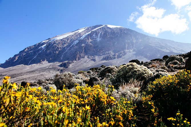 Climb Kilimanjaro – Marangu Route 8 Day Program