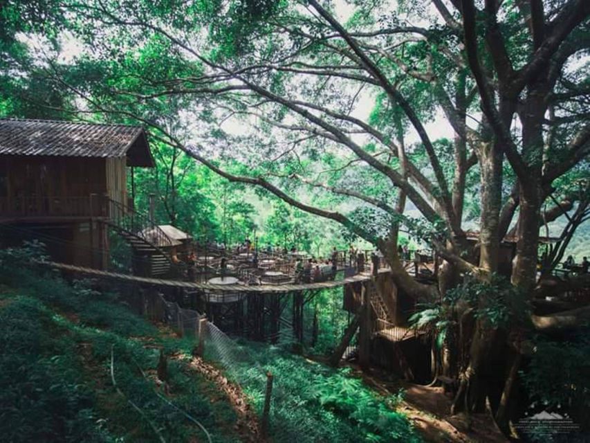 Cnx: Trekking & Villager Living in Forest, Tea& Coffee Farm