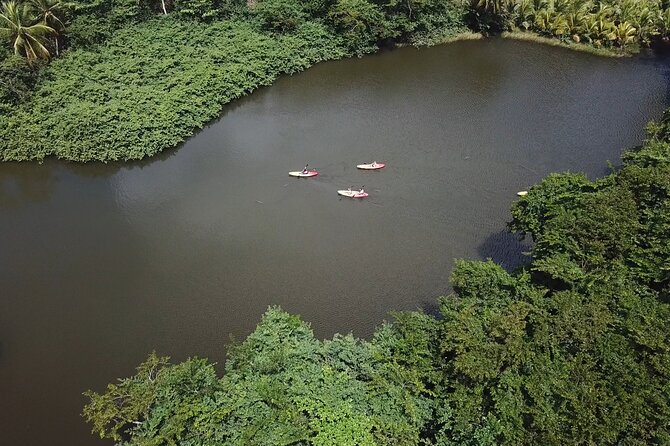 Coastal and River Kayaking Adventure at Marigot Bay