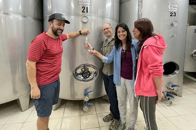 Coastal Winery Camino Trail Walking Tour From San Sebastian