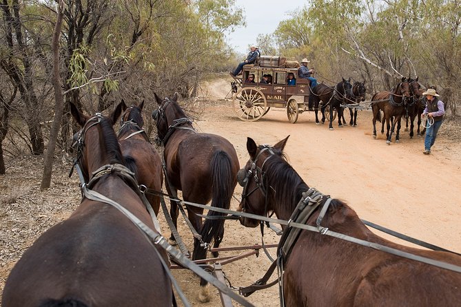 Cobb and Co Stagecoach Experience