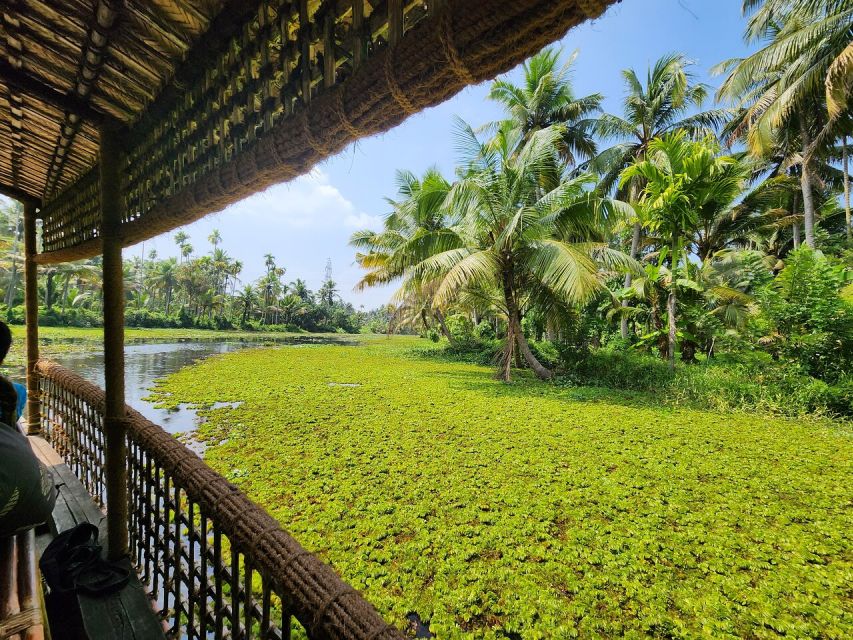 Cochin: Half-Day Backwater Village Eco Boat Cruise W/ Lunch