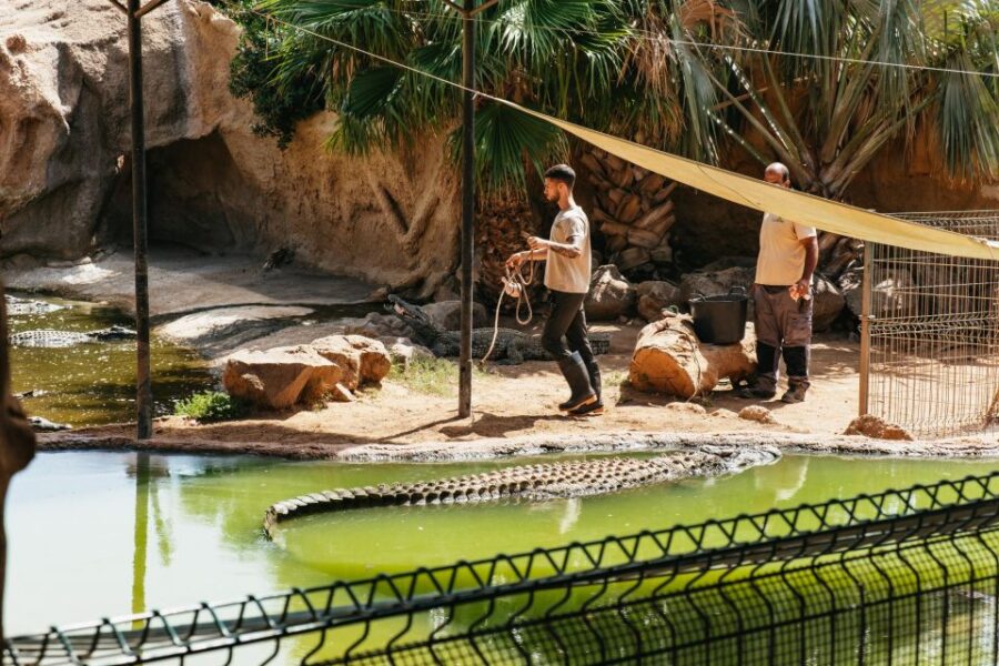 Cocodrilo Park Zoo Entry Ticket - Ticket Information