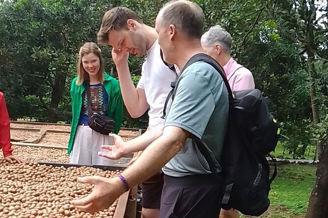 Coffee & Macadamia Fincas Tour - Tour Overview