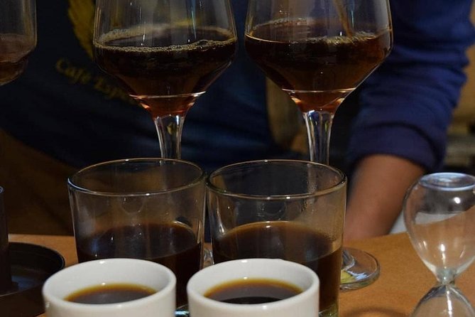 Coffee Tasting Experience at Divino Café Especial - Experience Overview