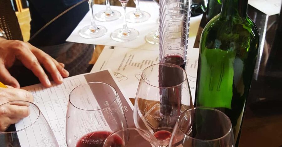 Cognac Distillery and Bordeaux Winery: Private Tour - Tour Overview and Details