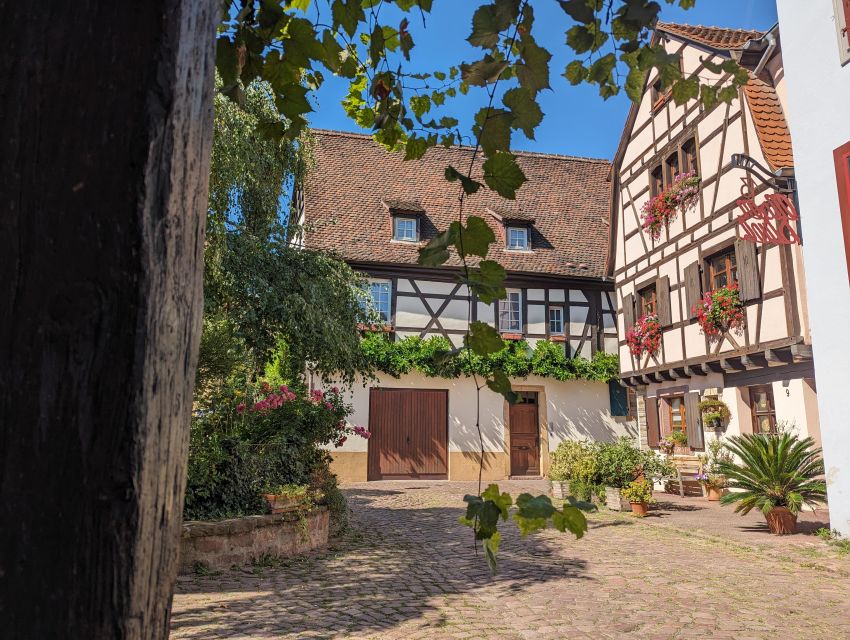 6 Best Guided Tours In Colmar