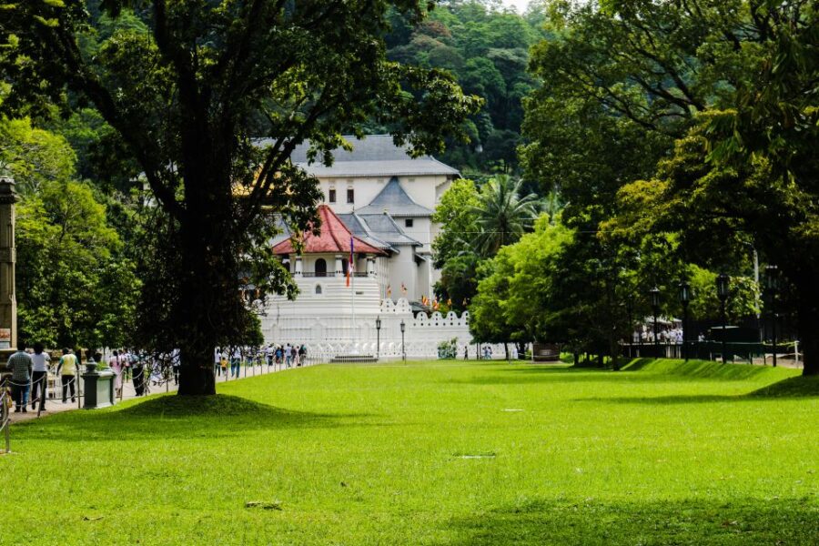 Colombo or Negombo: Temple of the Tooth Kandy Day Trip - Trip Overview and Pricing
