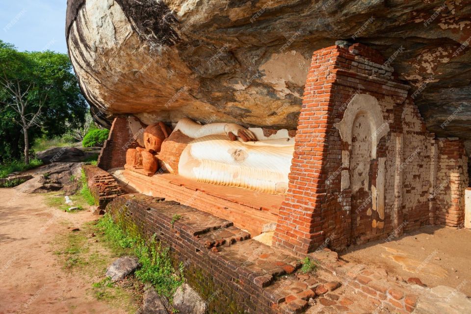 Colombo: Pidurangala and Dambulla Cave Temple From Colombo | Power ...