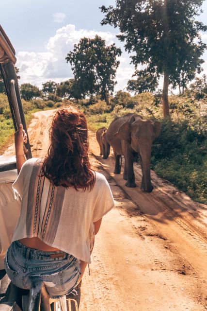 Colombo To Udawalawe National Park Safari Tour - Tour Overview and Pricing