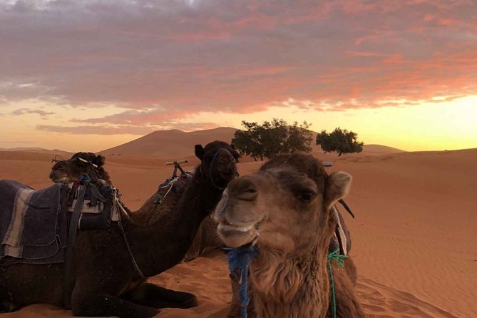 Combined Tour: Atlas Mountains Trek and Sahara Desert 5 Days Tour - Tour Overview