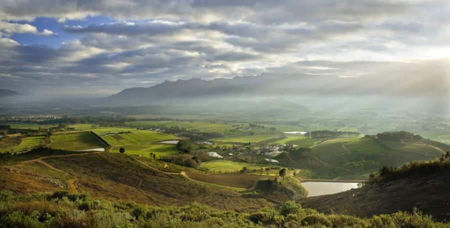 Combo Tour: Marine Wildlife Cruise & Wine Lands