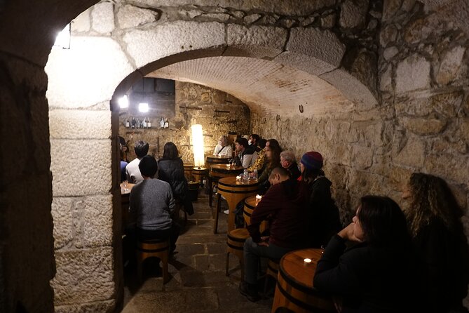Concert at Casa Do Fado Ribeira - Overview of the Experience