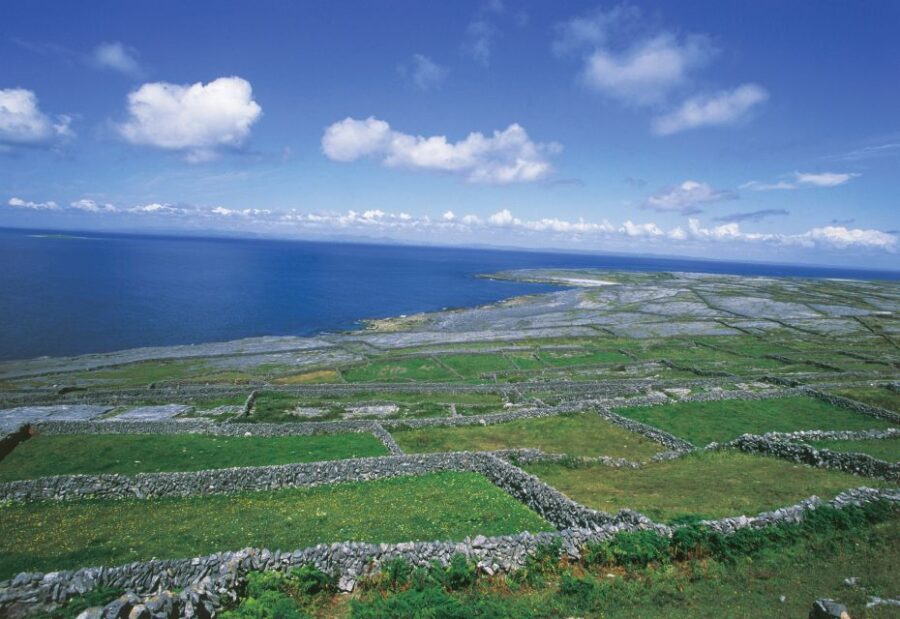 Connemara/Galway: Inis Meáin Return Ferry Transfer - Ferry Details