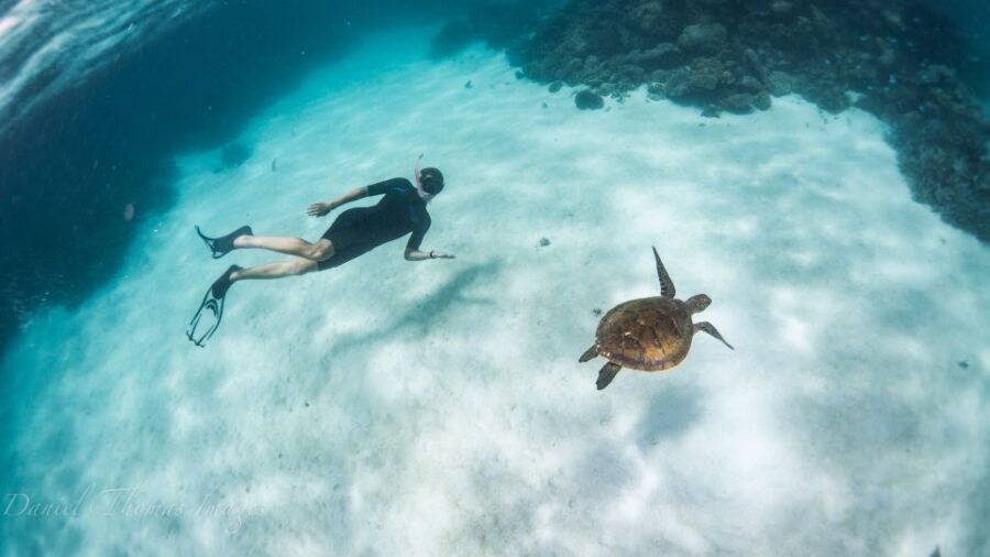 2 Best 3 Hour Tours and Experiences in Coral Bay
