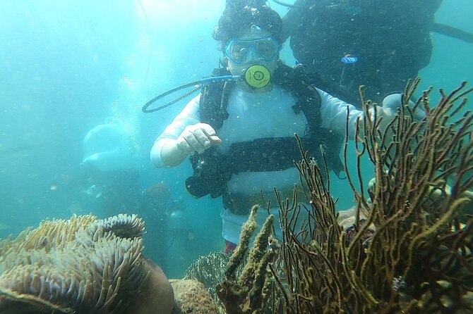 Coral Reef Snorkeling and Floating Bar Party From Nha Trang