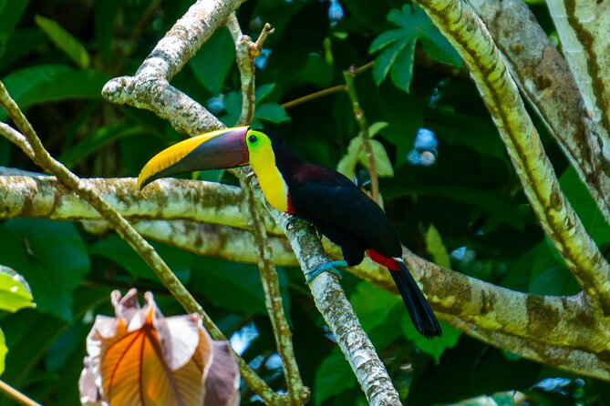 2 Best 2 Day Tours In Drake Bay