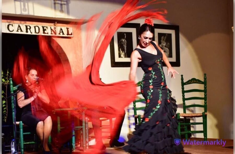 Córdoba: Flamenco Show Ticket With Drinks - Ticket Pricing and Cancellation Policy