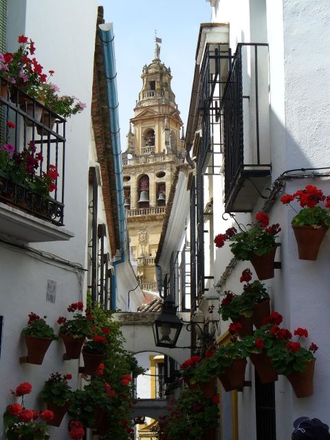 Córdoba – Private Tour Including Visit to the Fortress