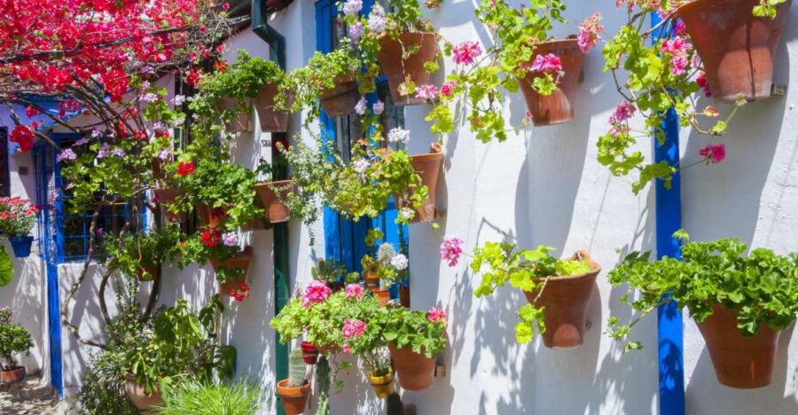 Cordobas Authentic Patios: 2-Hour Tour With Tickets - Tour Overview