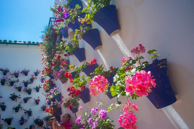 Cordobas Authentic Patios: 2-Hour Tour With Tickets