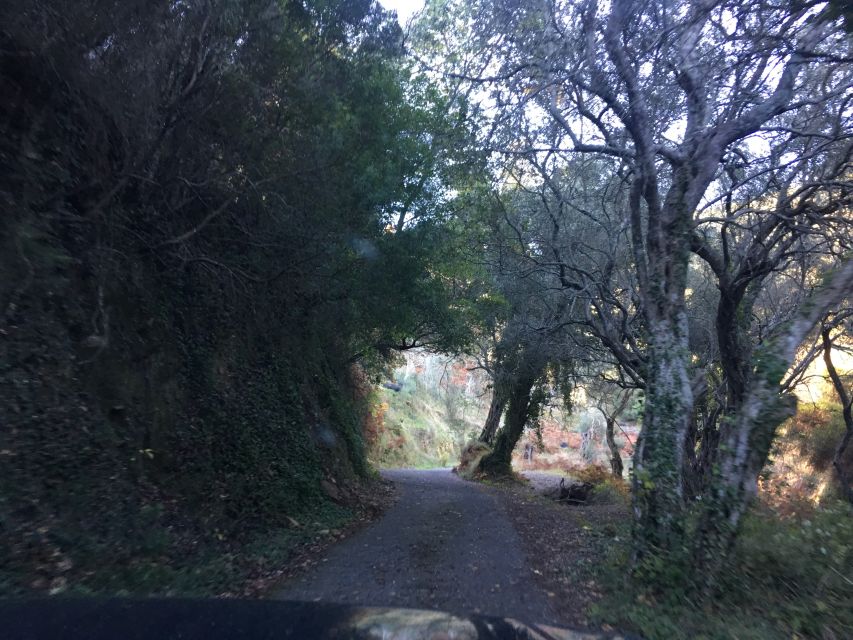 Corfu: South Route Small Group Tour by Jeep