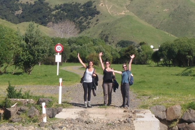 Coromandel Coastal Walkway Day Tour Ex Colville