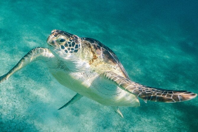 Costa Maya Snorkel Tour